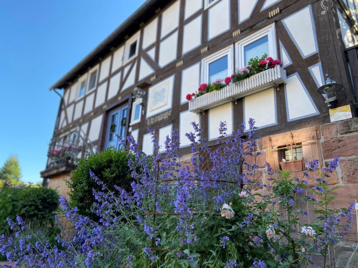 Werts Hof Ferienwohnen Villa Rauschenberg Exteriör bild