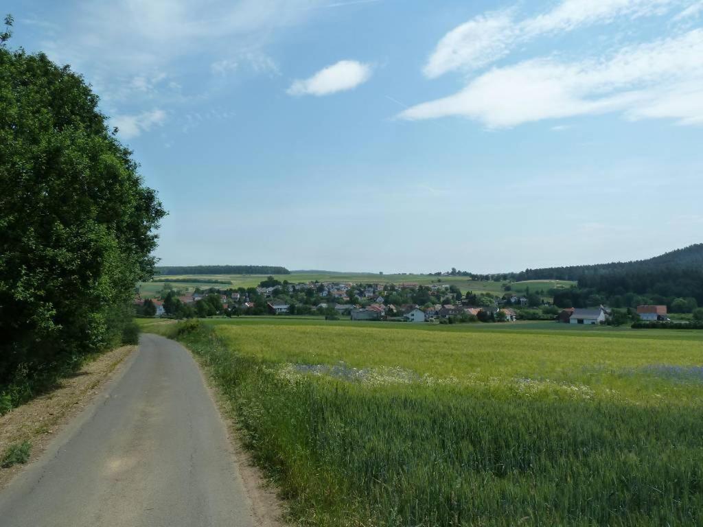 Werts Hof Ferienwohnen Villa Rauschenberg Exteriör bild