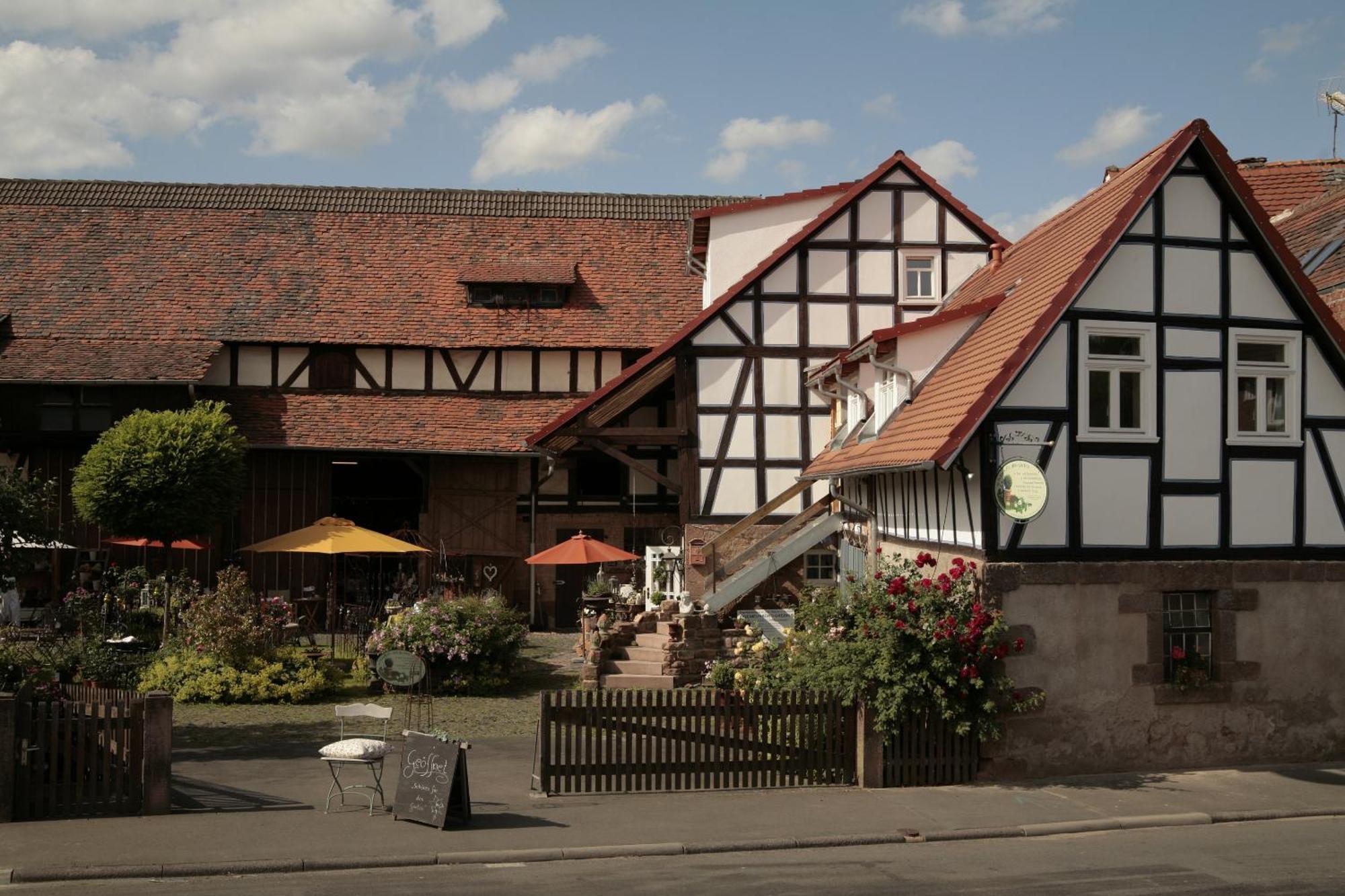 Werts Hof Ferienwohnen Villa Rauschenberg Exteriör bild